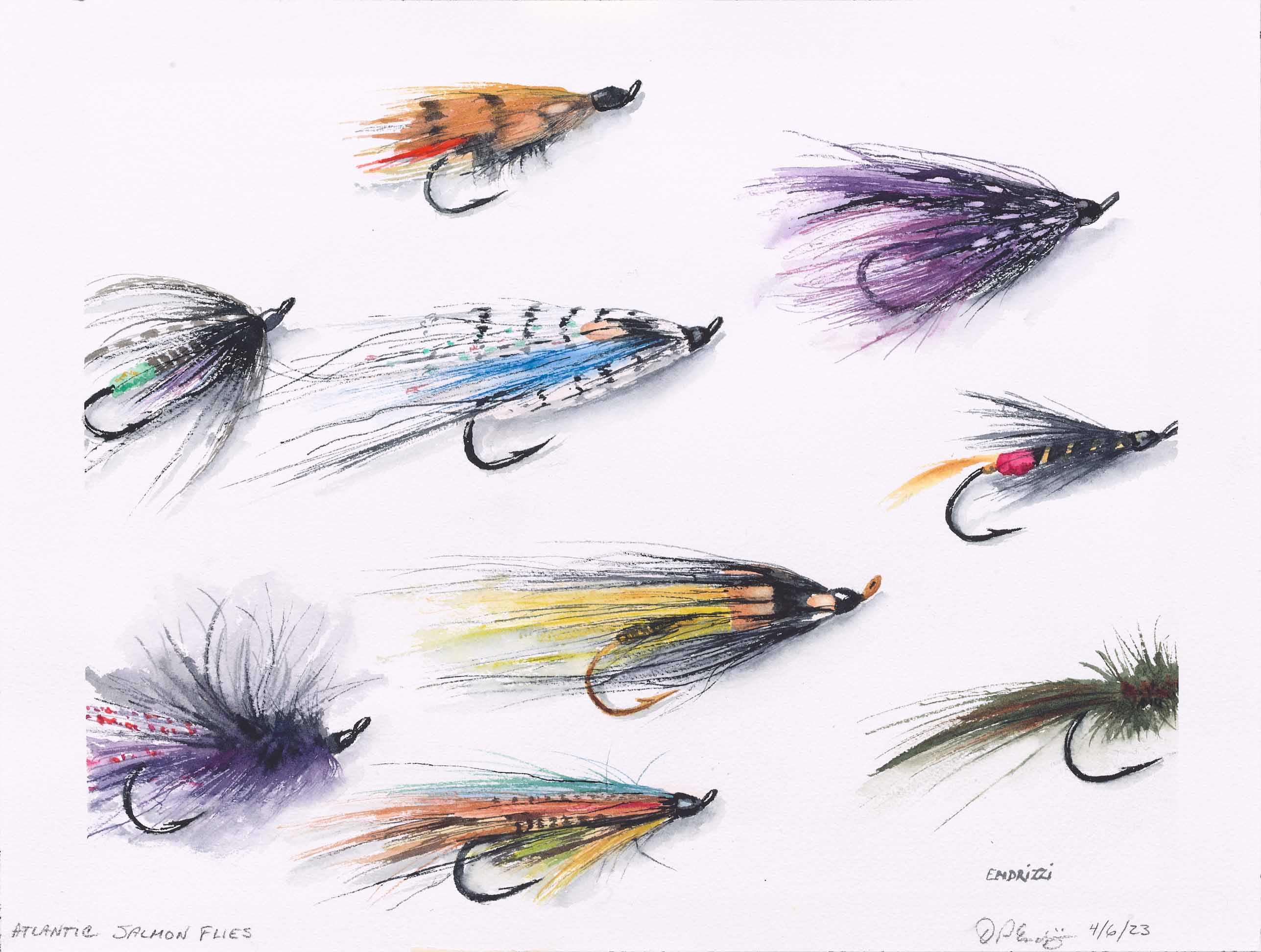 Atlantic Salmon Flies, 2023, watercolor on paper, 11 x 14 inches